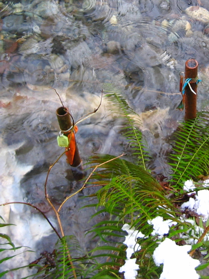 pgl-water-quality-1